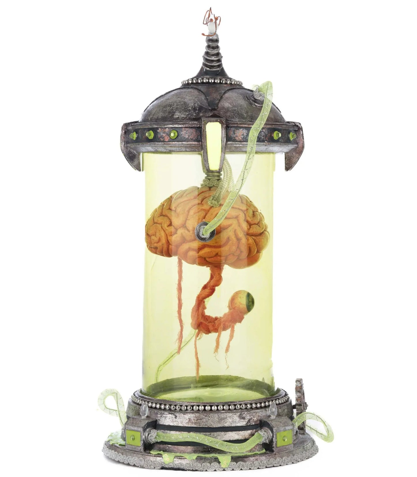 Katherine's Collection Marvin The Brain In Cloche Katherine's Collection Halloween Brain Decoration