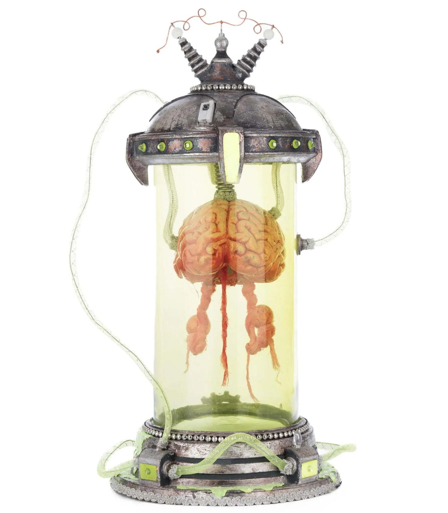 Katherine's Collection Marvin The Brain In Cloche Katherine's Collection Halloween Brain Decoration