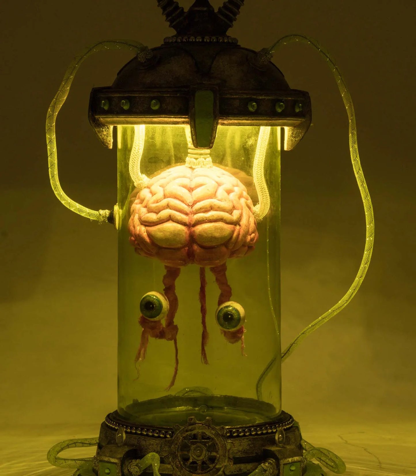Katherine's Collection Marvin The Brain In Cloche Katherine's Collection Halloween Brain Decoration