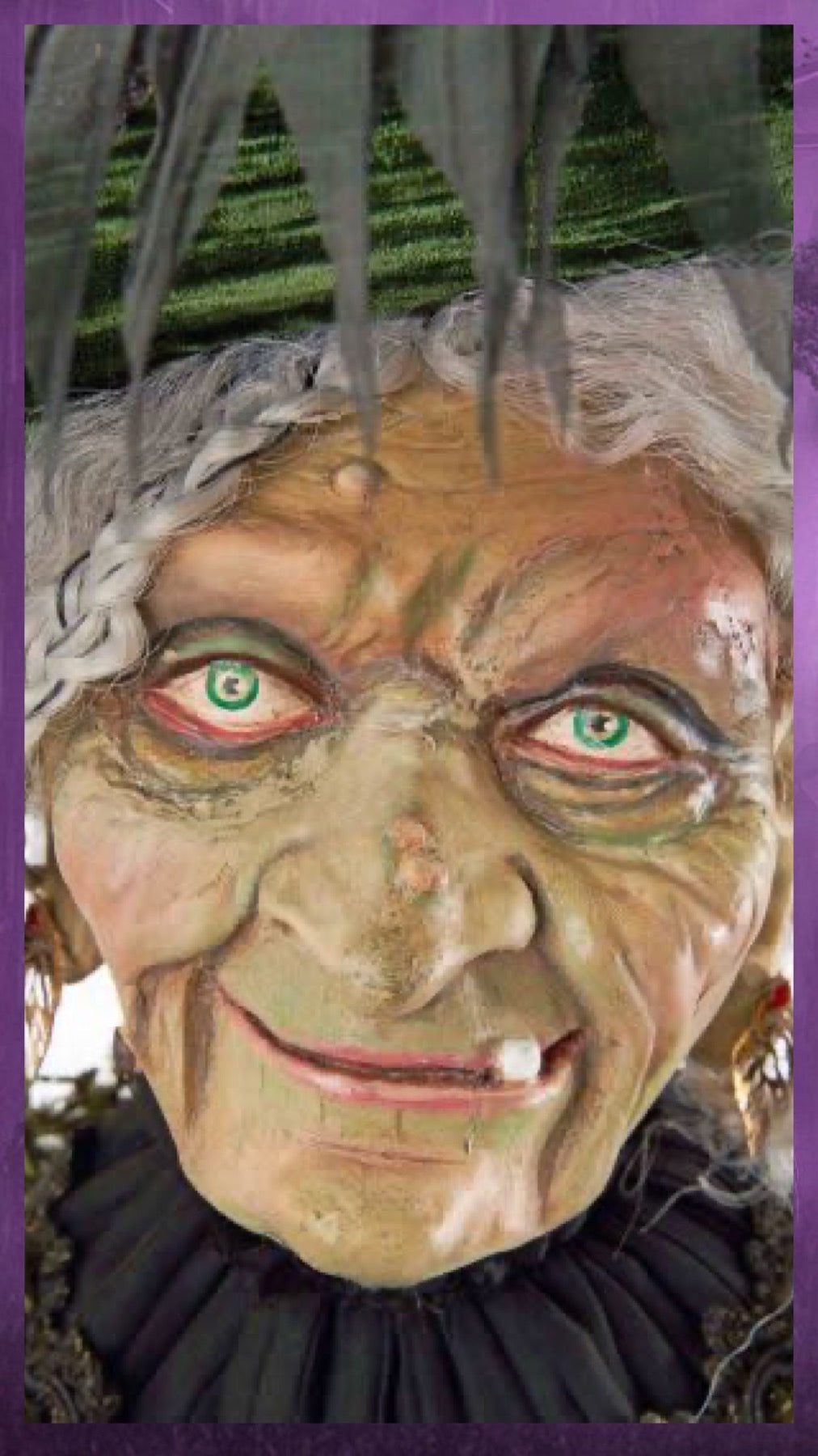 Katherine's Collection Halloween Decor Katherine's Collection Witch