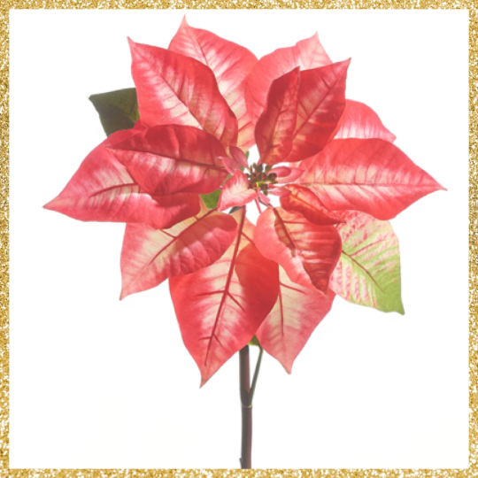 Pink and Red Poinsettia Stem 24.5" Pink and Red Christmas Floral Stem