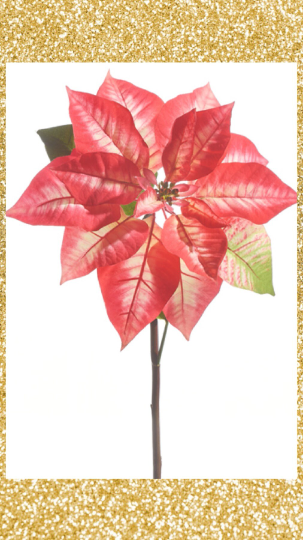 Pink and Red Poinsettia Stem 24.5" Pink and Red Christmas Floral Stem