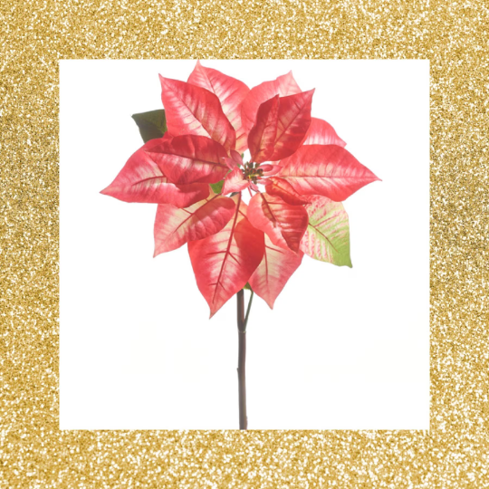 Pink and Red Poinsettia Stem 24.5" Pink and Red Christmas Floral Stem