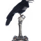 Katherine's Collection Crow on Skeleton Hand Perch   Katherine's Collection Halloween Crow Decoration