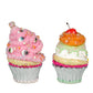 Sticky Sweet Crazy Eyes Cupcakes Assortment of 2  Katherine's Collection