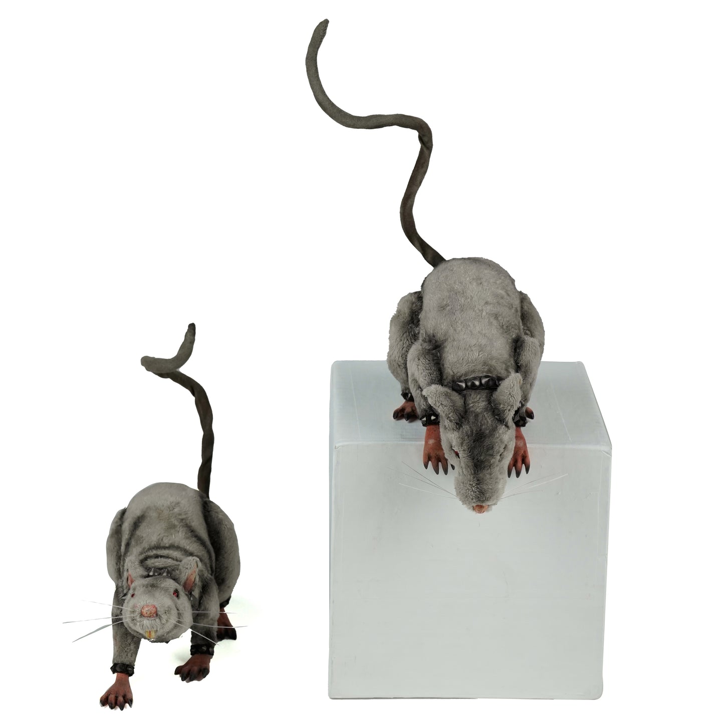 Tabletop and Ledge Hanging Rats Assortment of 2  Katherine's Collection Halloween