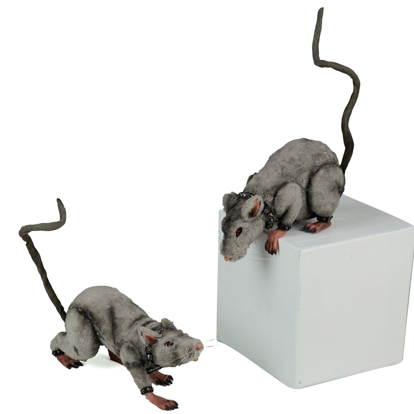 Tabletop and Ledge Hanging Rats Assortment of 2  Katherine's Collection Halloween