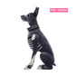 Katherine's Collection Bones the Dog   Katherine's Collection Halloween Bones the Dog Skeleton