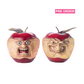 Katherine's Collection Toxic Terry and Noxious Nelson Apples Set of 2  Katherine's Collection Halloween Apple Decorations