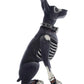 Katherine's Collection Bones the Dog   Katherine's Collection Halloween Bones the Dog Skeleton