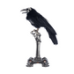 Katherine's Collection Crow on Skeleton Hand Perch   Katherine's Collection Halloween Crow Decoration