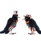 Katherine's Collection Edgar Allen and Poe the Crows Assortment of 2   Katherine's Collection Halloween Crow Decoration