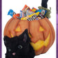 Katherine's Collection Halloween Decor Cat in the Candy Bowl
