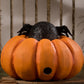 Bethany Lowe Spider On Pumpkin Jack O' Lantern    Bethany Lowe Halloween Orange Pumpkin Decoration