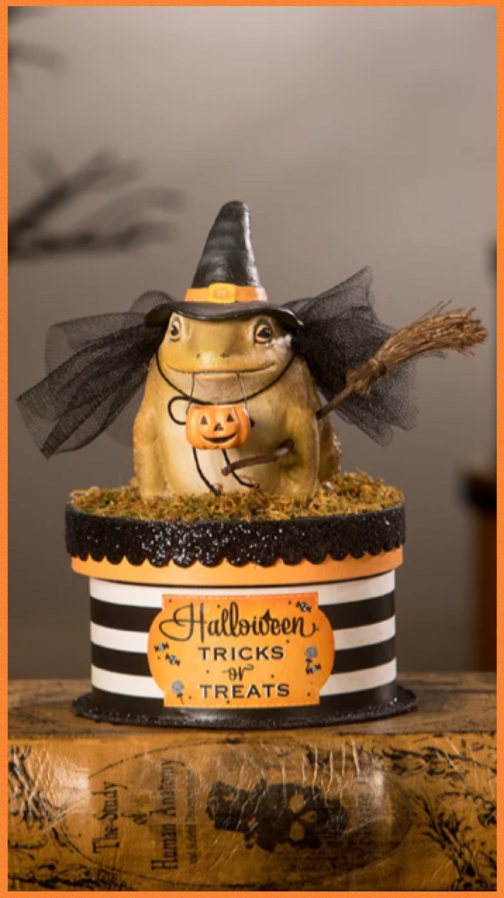 Bethany Lowe Witchy Toad on Box    Bethany Lowe Toad on Trinket Candy Box Halloween Decoration