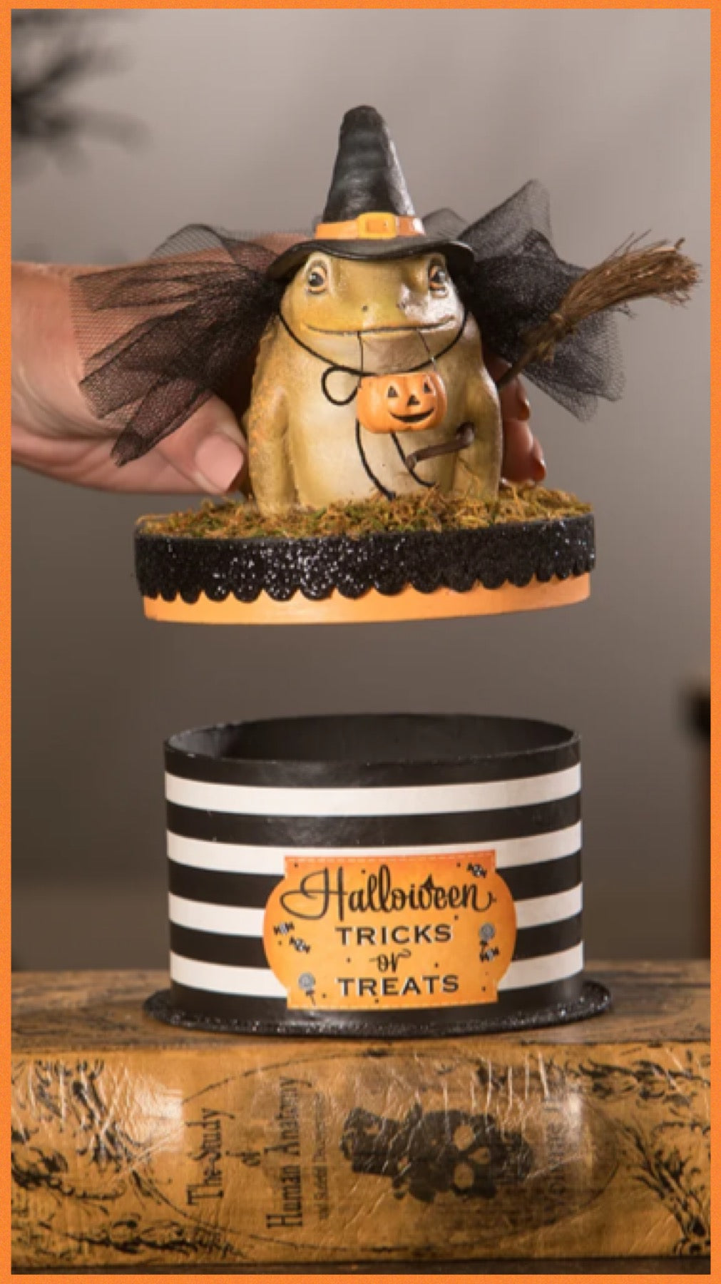 Bethany Lowe Witchy Toad on Box    Bethany Lowe Toad on Trinket Candy Box Halloween Decoration