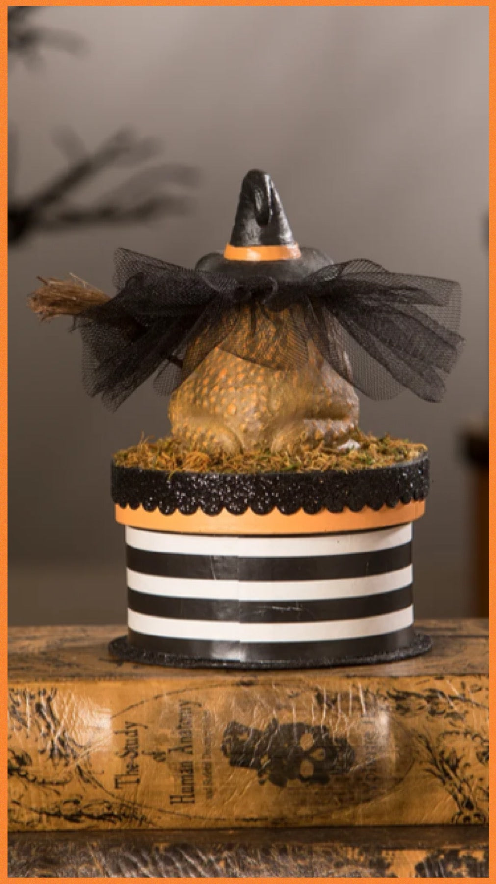 Bethany Lowe Witchy Toad on Box    Bethany Lowe Toad on Trinket Candy Box Halloween Decoration