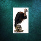 Katherine's Collection Halloween Decor Midnight Vulture