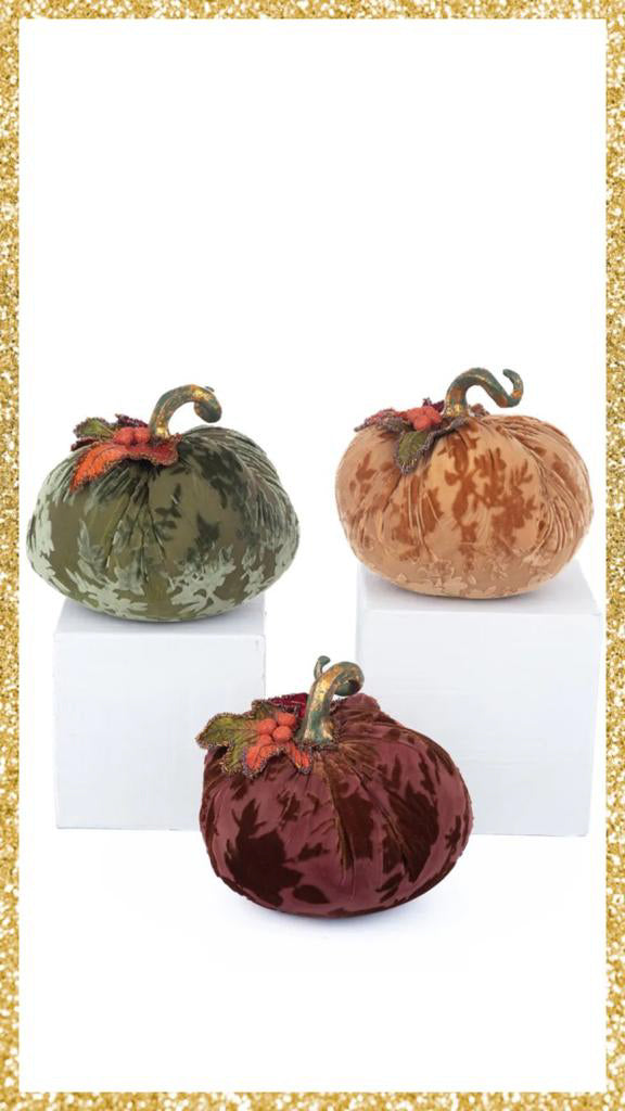 Katherine's Collection Velvet Pumpkins Assortment of 3