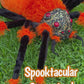 60" December Diamonds Orange Halloween Spider Decor